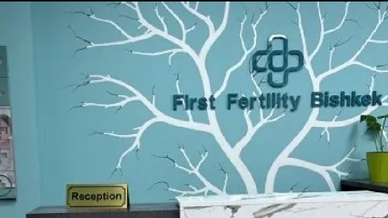 吉尔吉斯斯坦 First Fertility Bishkek