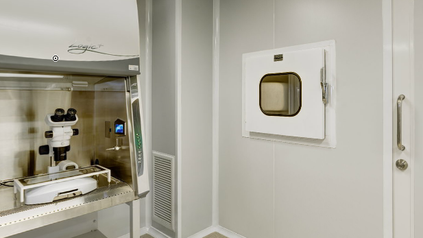  AVAPETER Clinic（第比利斯）