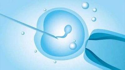 潮州三代试管婴儿移植前为什么要做宫腔镜刮宫？宫腔镜刮诊可以检查子宫是否有病变吗？