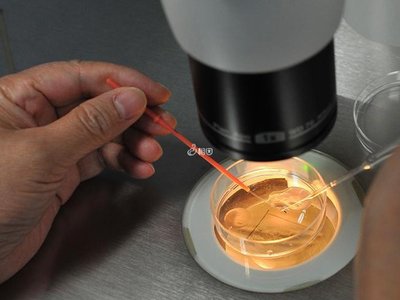 嘉运国际：线粒体置换技术未来可期