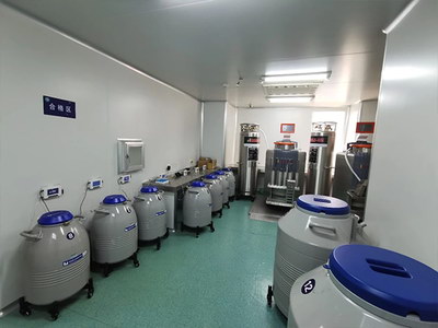 嘉运国际：俄罗斯三代试管，合法第三方辅助可选