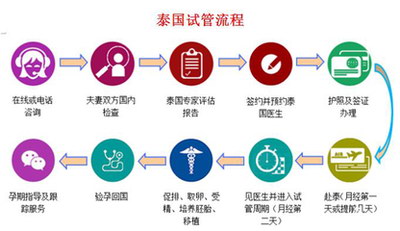 试管婴儿鲜胚、囊胚、冷生育力，哪种移植更好