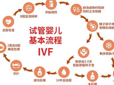 目前暂不想生育，可在试管婴儿核心胚胎冷冻保留吗