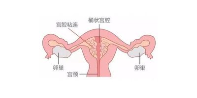 东莞哪里有做试管