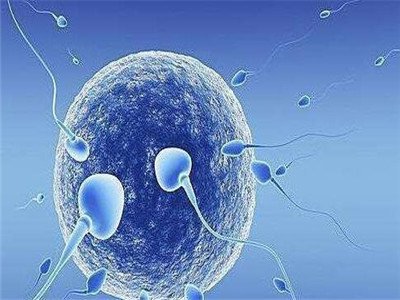 中山试管婴儿备孕中，卵泡数、取卵数、胚胎数层层缩水，备用方案在哪？