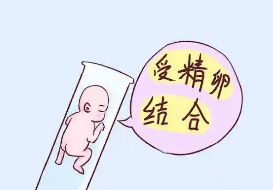 格鲁吉亚试管助孕