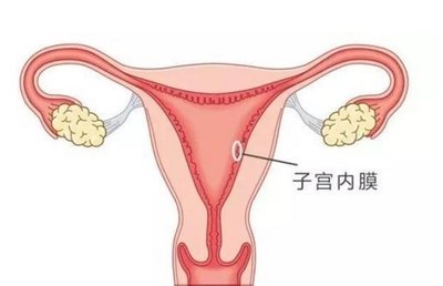 惠州三代试管价钱