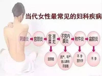 佛山试管婴儿移植之后能吃狗肉吗