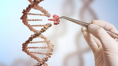 卵巢巧囊难孕怀不上试管婴儿辅助生养能胜利吗