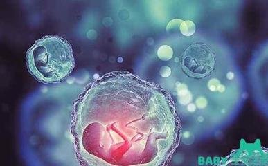广西试管婴儿治疗后需注意什么?