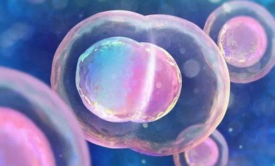 选对试管移植方式可以增添妊娠成功率吗