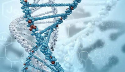 难孕女性白带异常可以成功做深圳试管婴儿怀孕吗