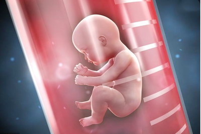 为什么会有抗精子抗体阳性能不能通过潮州试管婴儿助孕