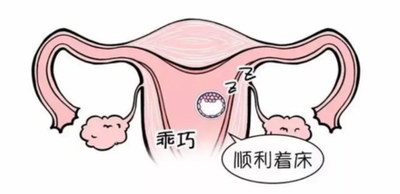 试管机构东莞