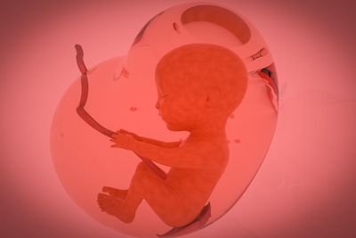 子宫内膜增生患者能不能如愿做试管婴儿助孕医治