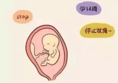 为什么会造成巧克力囊肿可以通过佛山试管婴儿辅助生育吗