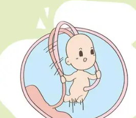 试管胚胎移植但是不着床是为什么