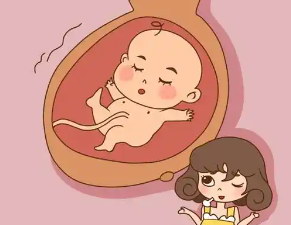 惠州单身能做试管婴儿吗