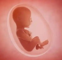 子宫内膜呈增殖期改变可以做汕头试管婴儿吗