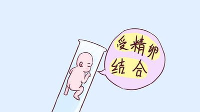 珠海试管流程及费用