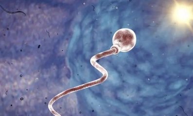 精子畸形率高可以通过试管让妻子顺利怀孕吗