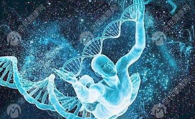 卵巢功能减退的患者需抓紧时间做试管婴儿辅助生育