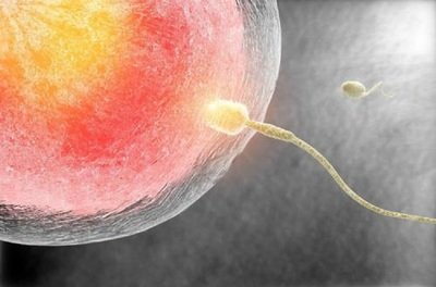 农药会让男性不育吗？从事农业的男性发生不育后可以进行试管婴儿吗