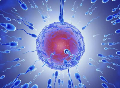 女性不孕30岁子宫内膜增生影响揭阳试管婴儿移植吗