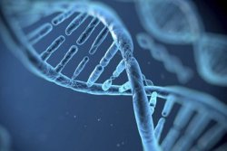 子宫内膜太薄，有哪些好的办法医治吗