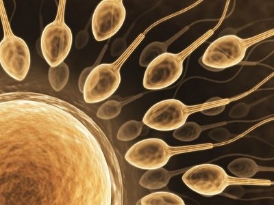 子宫腺肌症怎么医治才能顺利试管婴儿辅助生育