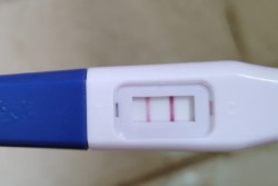 月经不调是否影响女性怀孕能不能试管婴儿助孕