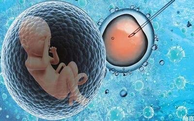 人工授精手术十二天之后就能经常出差了吗