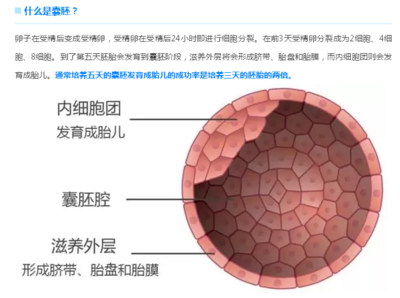 卵巢功能下降的主要症状是什么还能做深圳试管吗