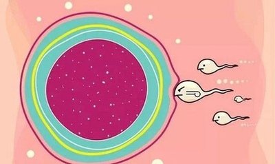 双角子宫还可以试管婴儿生娃吗