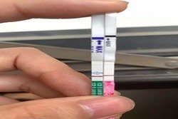 得了甲亢还可以做汕头试管婴儿移植吗