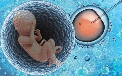 盆腔炎性疾病滋生盆腔粘连能否试管婴儿助孕
