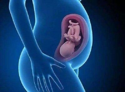 深圳单身试管婴儿费用