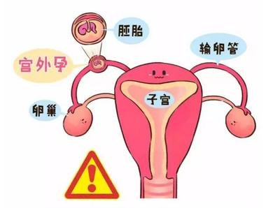 惠州三代试机构