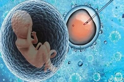 患有高血压能不能怀孕能否试管婴儿助孕